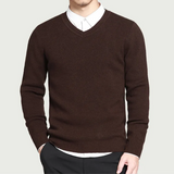 Casual V-Hals Trui voor Heren