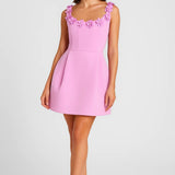 Elegante Mini Jurk met Kant Detail en Aansluitende Pasvorm